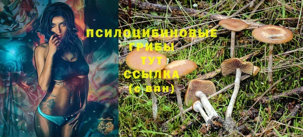 каннабис Гусев